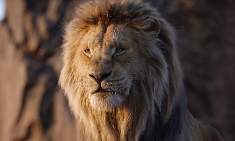 実写化 ライオン キング の映画を無料で視聴する２つの方法 Cinema Gossip